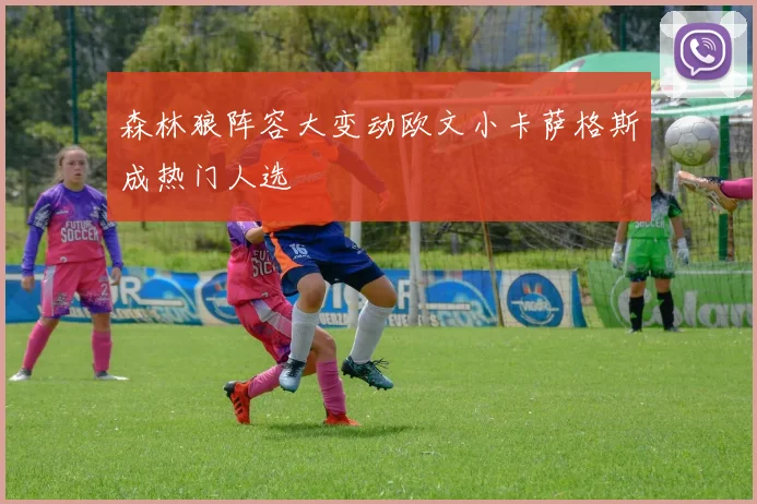 森林狼阵容大变动欧文小卡萨格斯成热门人选